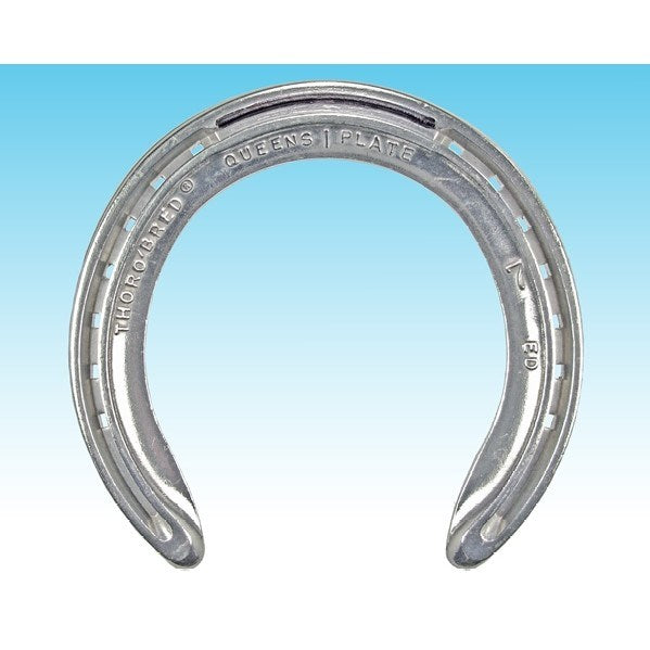 Thoro'Bred ED Queens Fronts Toe Clipped