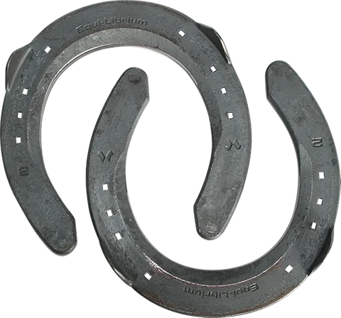 Mustad Steel Equi-Librium Fronts